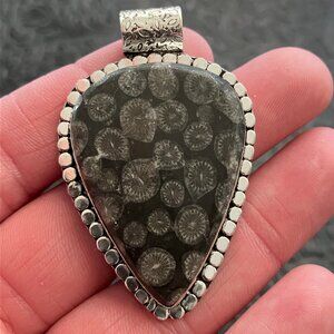 Agatized Coral Fossil Gemstone Stone Jewelry Crystal Pendant